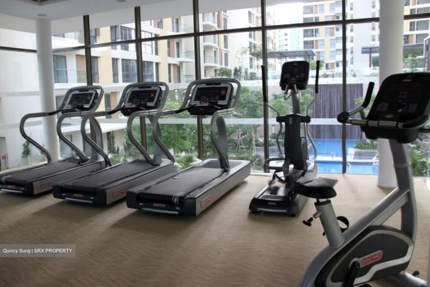 Parc Vera (D19), Condominium #565249871